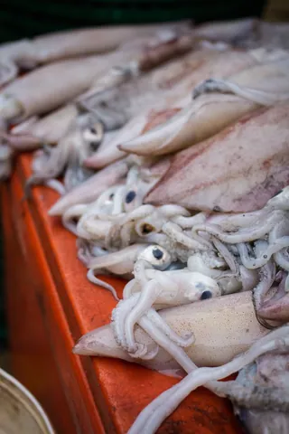 Fresh Squid, Dungun Market
