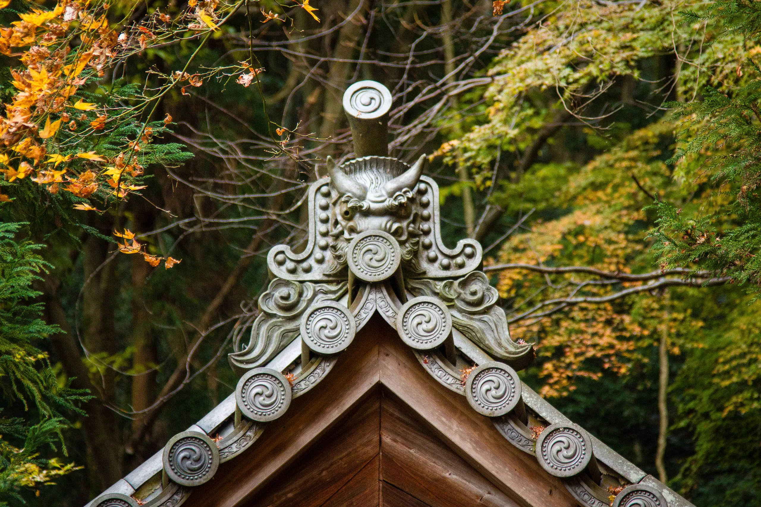 Honen-in Temple Roof Detail, Kyoto