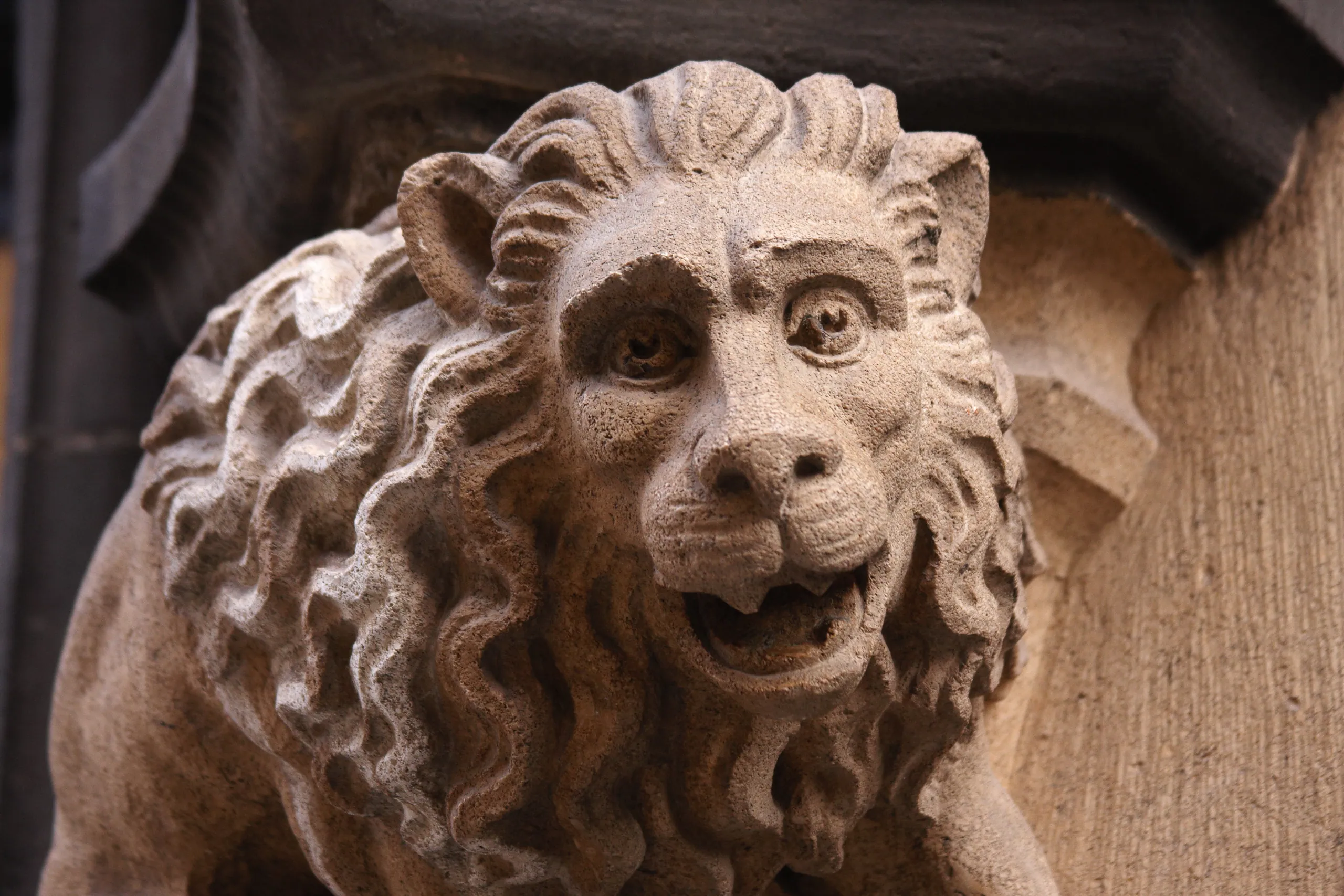 Munich Street Detail