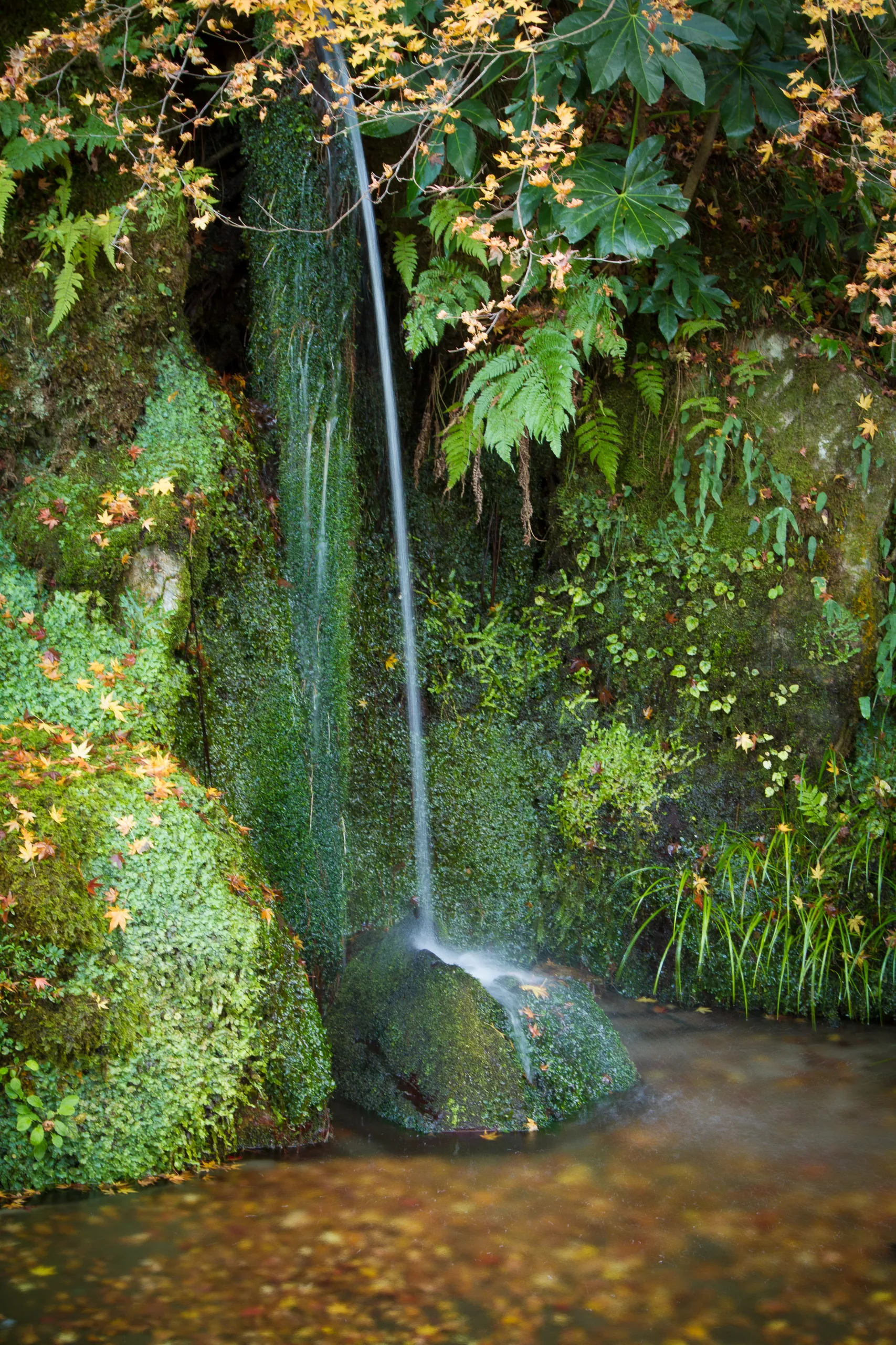 Waterfall in the garden of the Silver Pavilion, Kyoto
