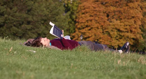 Last read on Primrose Hill