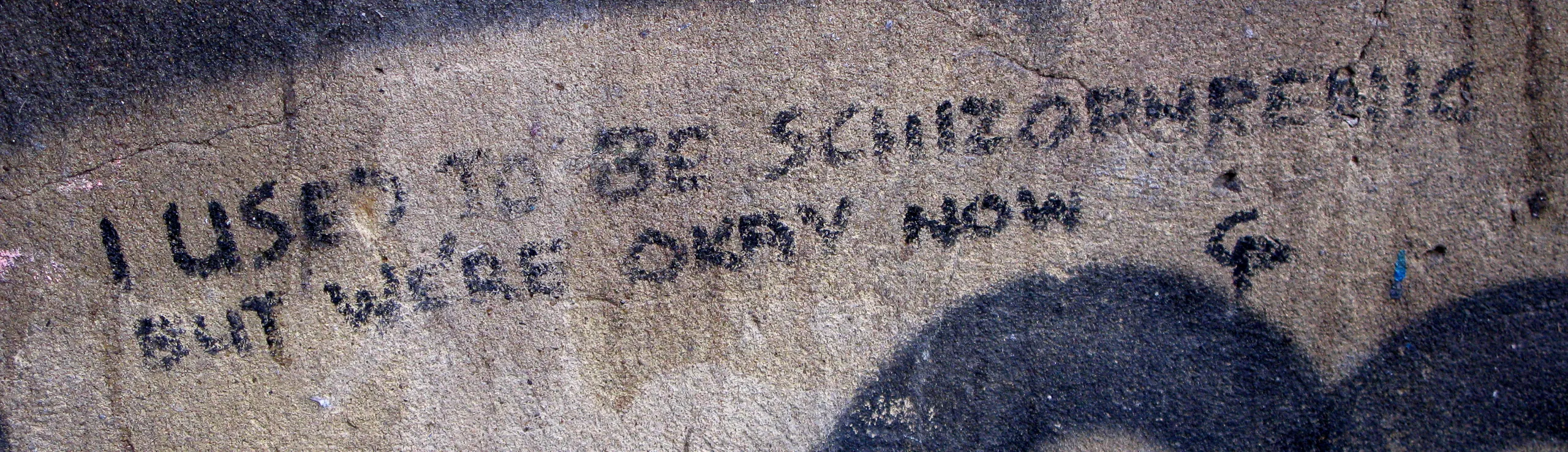 "I used to be schizophrenic - but we're okay now!"