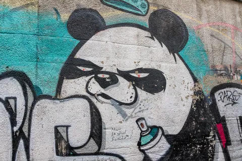 Angry Panda Street Art, Beyoglu