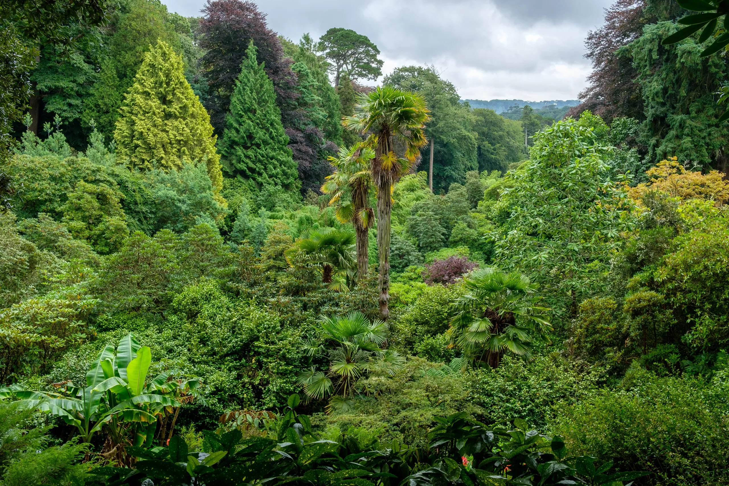 Trebah Gardens