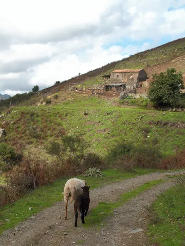 Farm Road, Sicily
