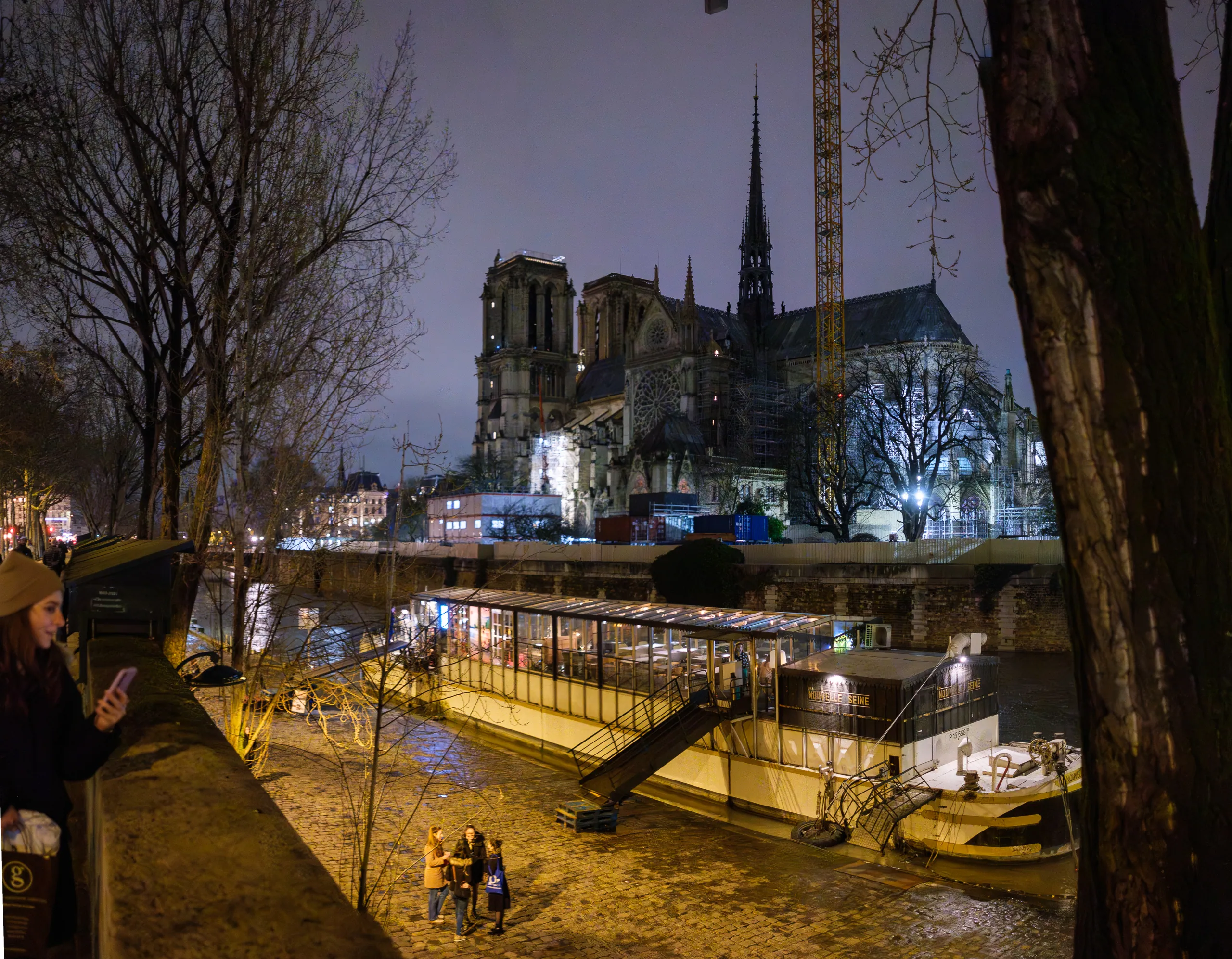Notre-Dame and flooded Seine