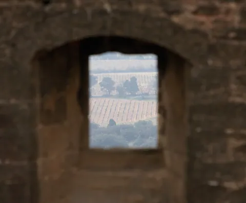 View from the Ruined Castle of Chateauneuf-du-Pape