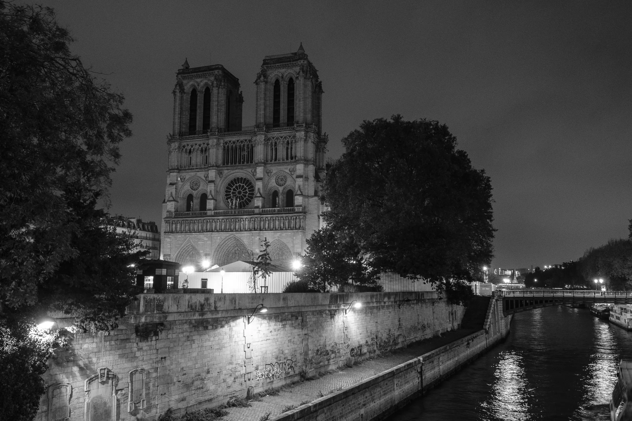 Notre Dame by night