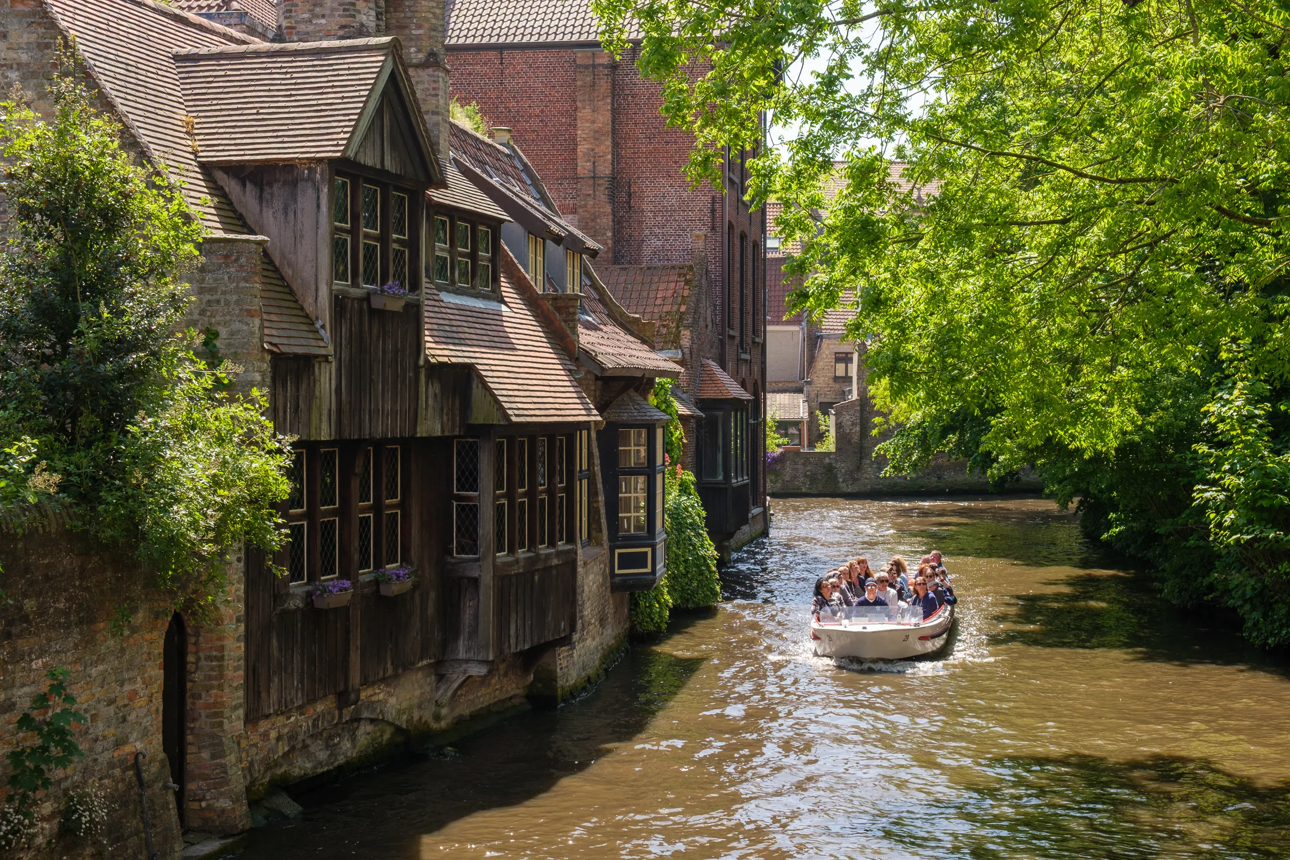 Tourist Boat, Bruges