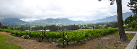Franschoek Countryside