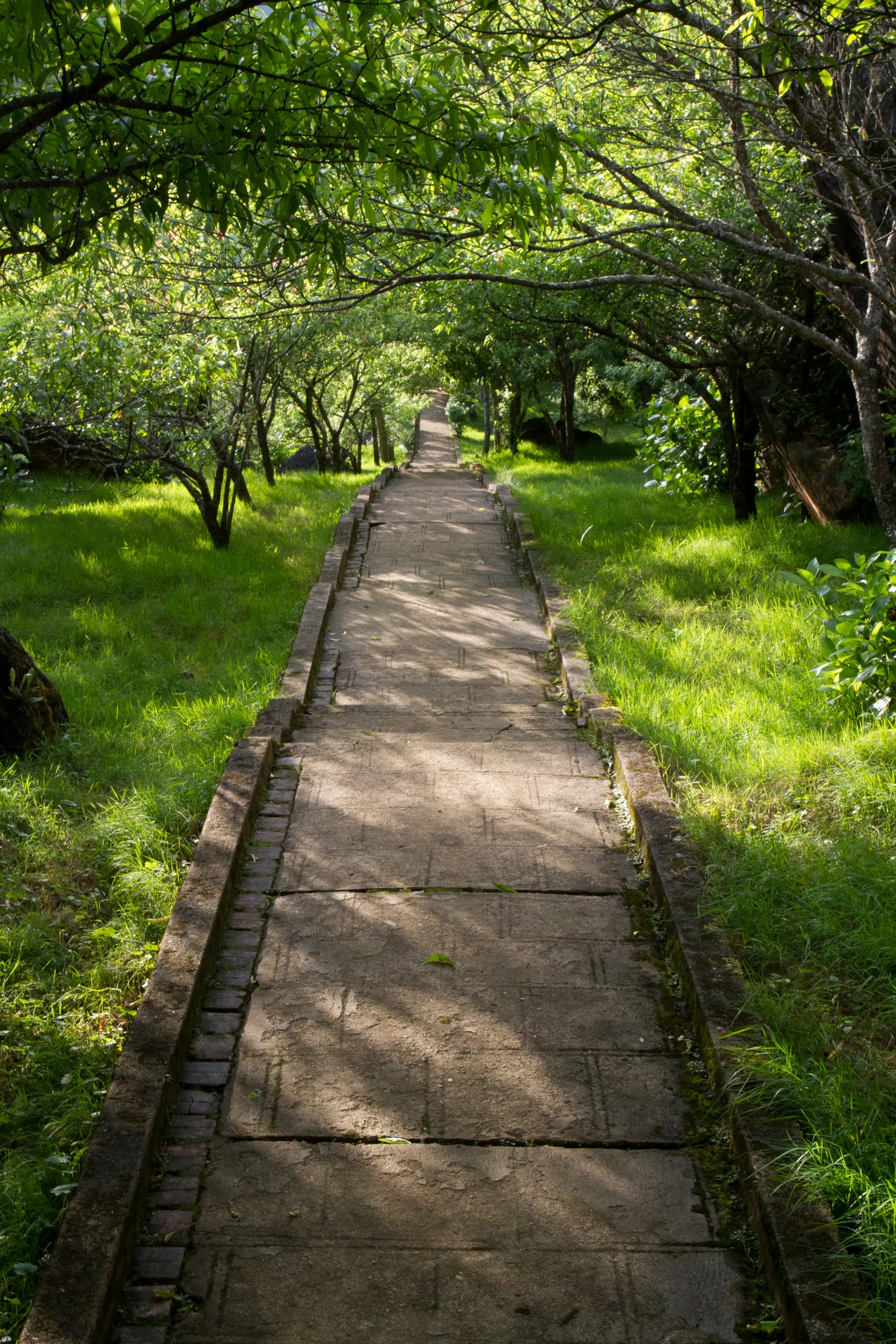 Park Path, Ham Rong Park, Sapa