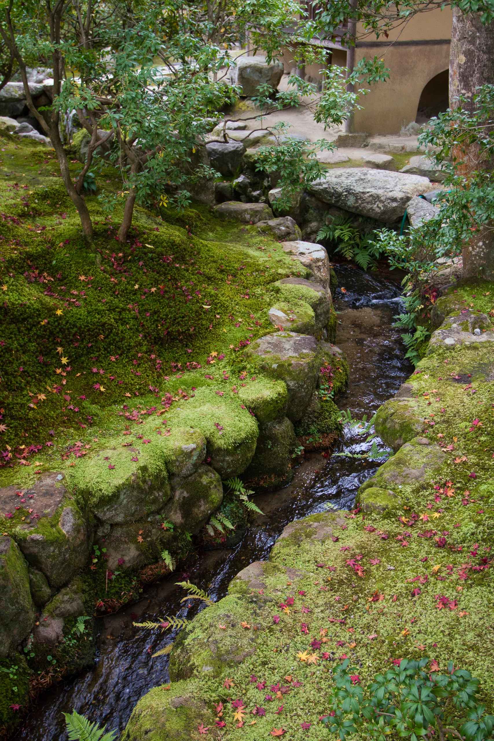 Landscaped stream, Isuien Garden, Nara Park
