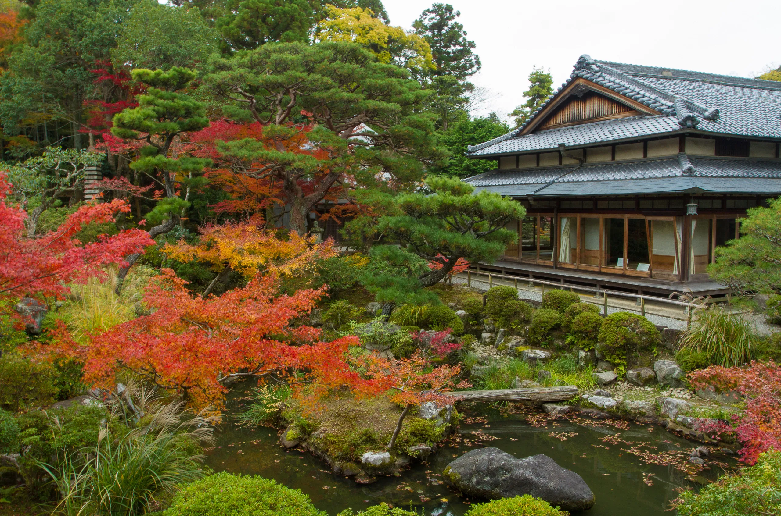 Pond, Yoshikien Garden, Nara Park