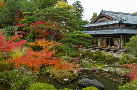 Pond, Yoshikien Garden, Nara Park