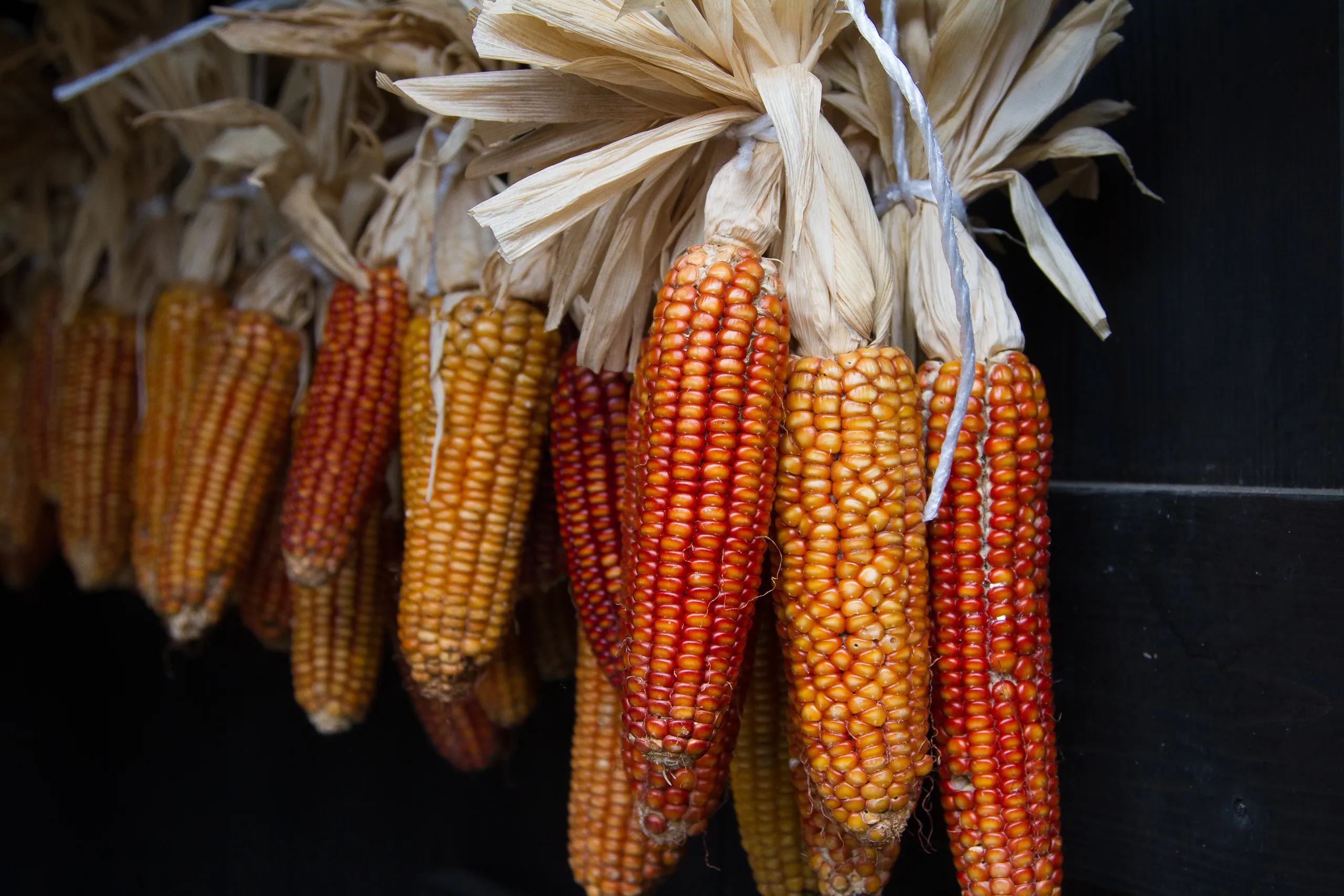Corn hanging, Kurokawa