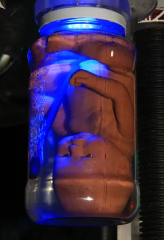 Foetus Liquor, Shangri-La