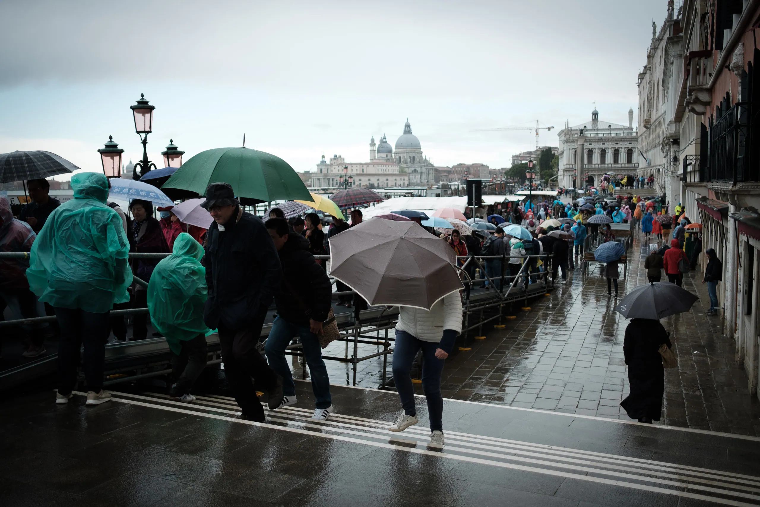 Rainy Tourist Hordes