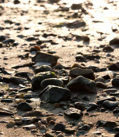 Dawn Beach Detail, Stage Harbor