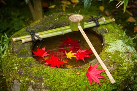 Maple leafs and wash basin, Koto-in Temple, Kyoto