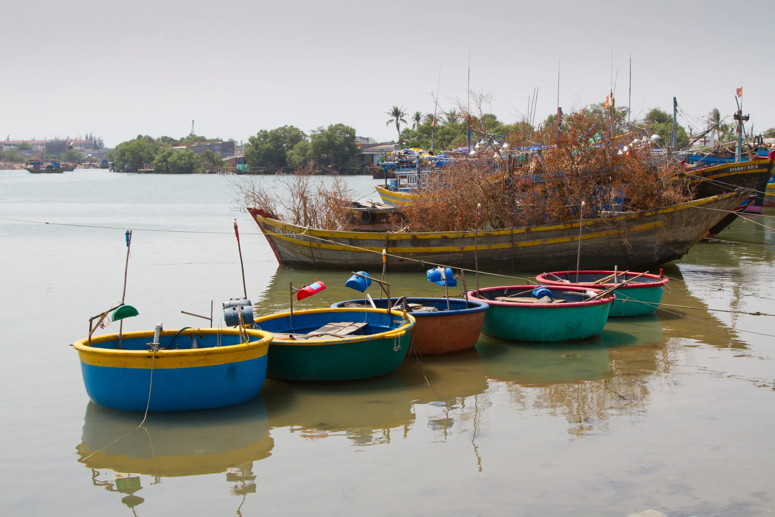 Phan Tiet Fishing Harbour