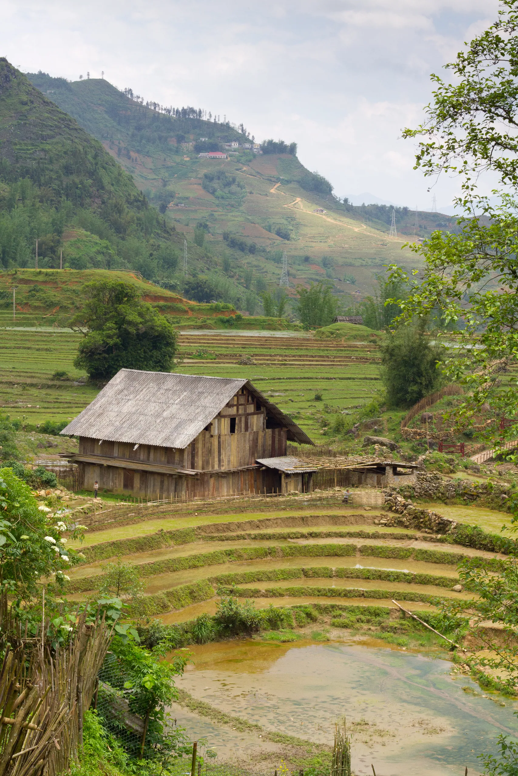 Farmhouse and rice paddies, Cat Cat, Sapa