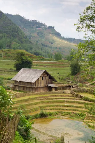 Farmhouse and rice paddies, Cat Cat, Sapa