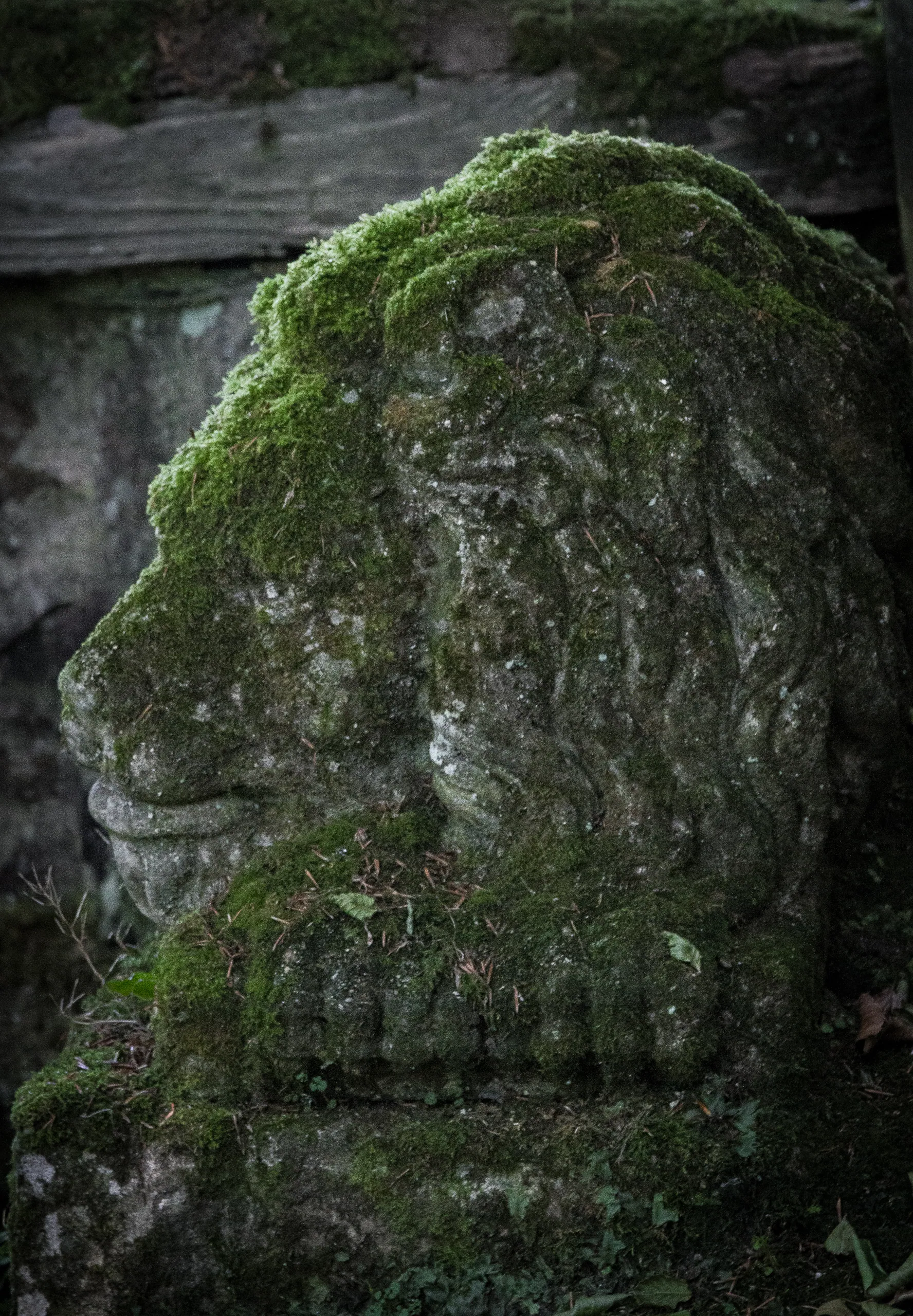 Lichen Tiger Statue, Docton Mill Gardens
