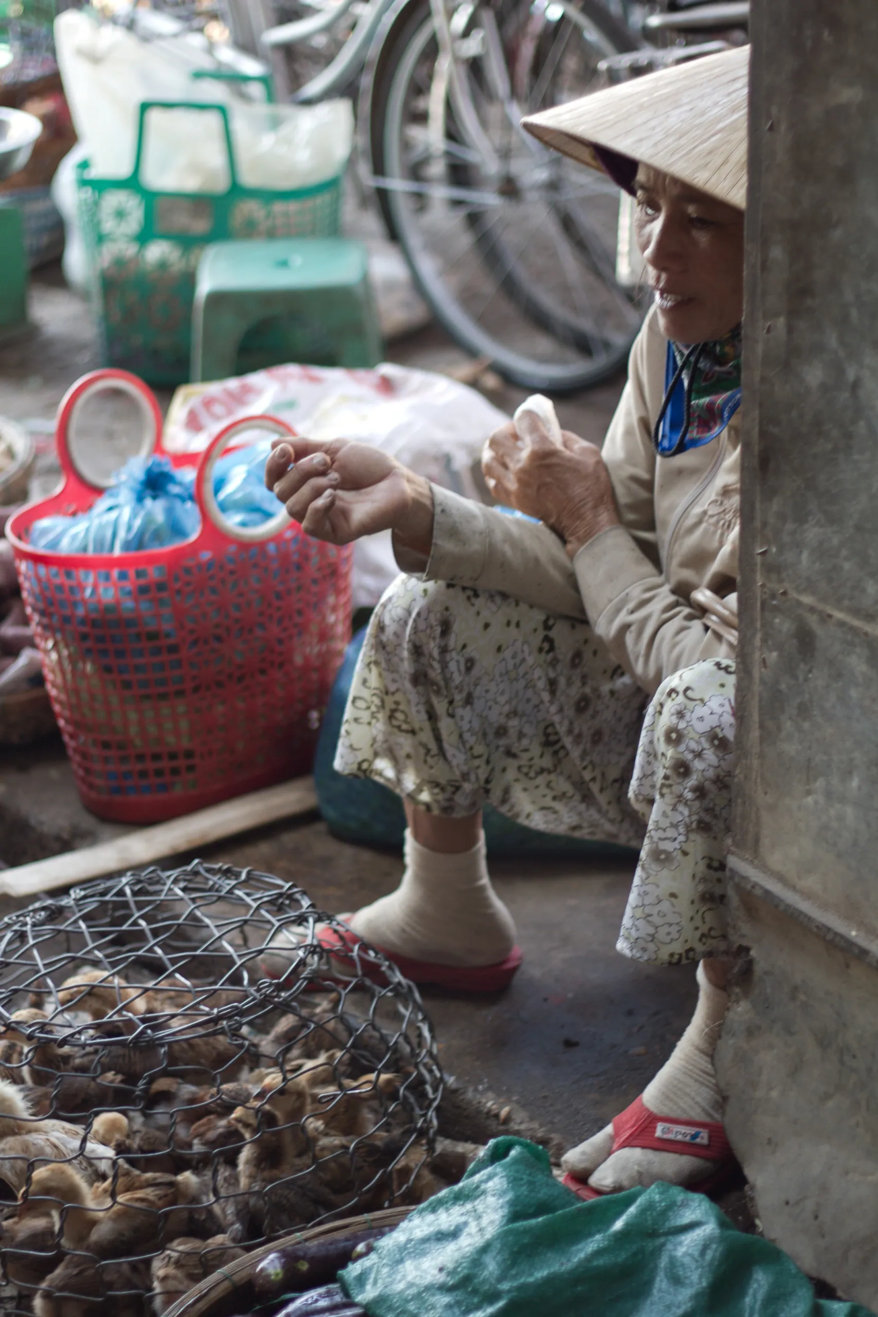 The Chick Lady, Hoi An Central Market