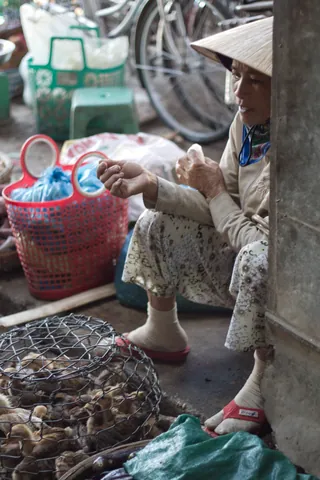 The Chick Lady, Hoi An Central Market