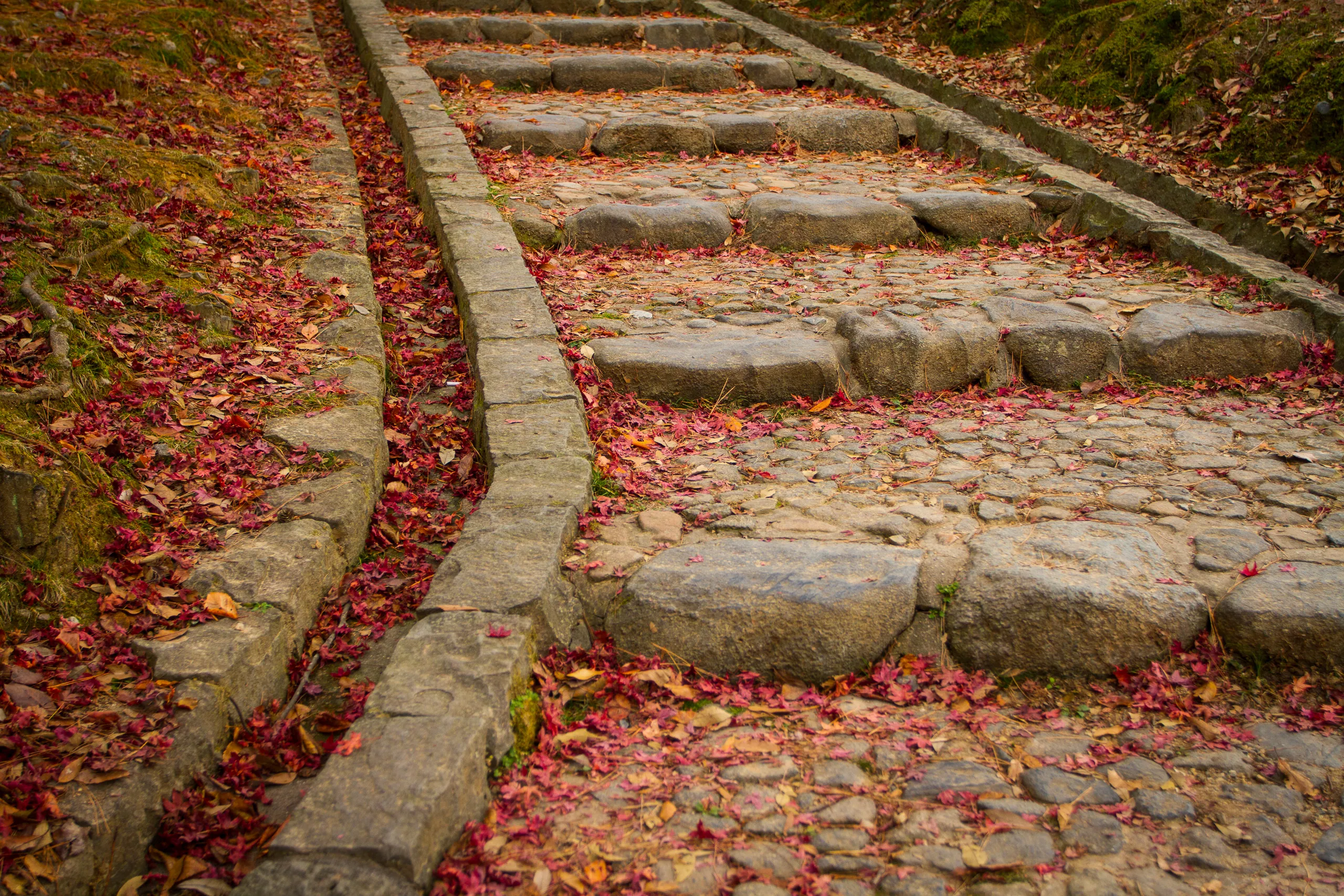 Stone Steps and Leaf Fall, Kataoka Plum Grove, Nara Park