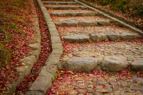 Stone Steps and Leaf Fall, Kataoka Plum Grove, Nara Park