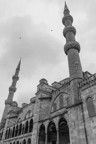 Blue Mosque in Monochrome