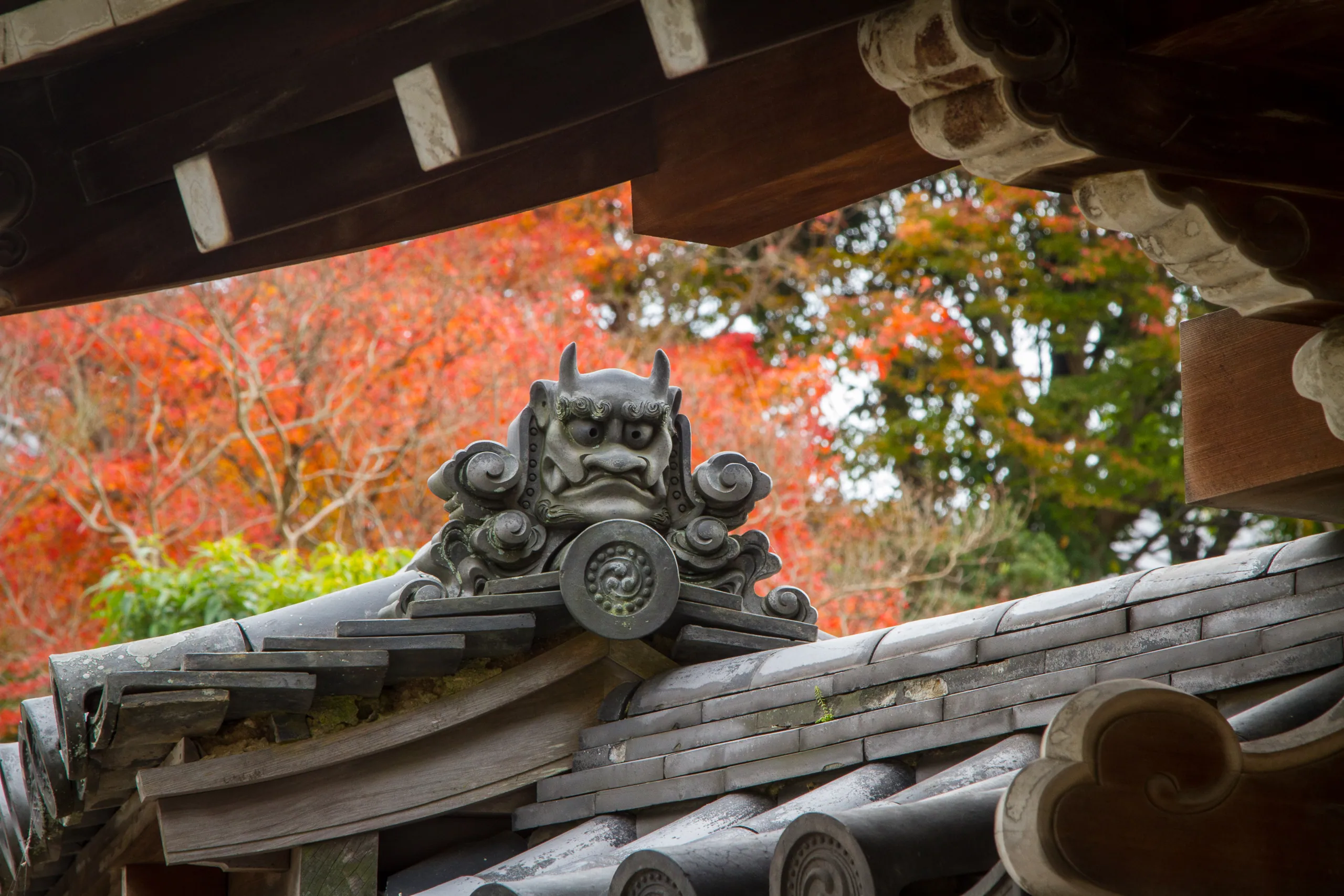 Temple roof decoration and autumn colours, Nara Park