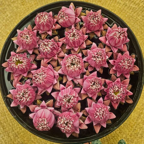 Flowers in the lobby of the Koulen Hotel, Siem Reap Cambodia