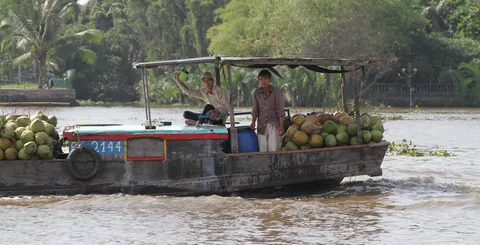 Fruit boat on the Saigon River