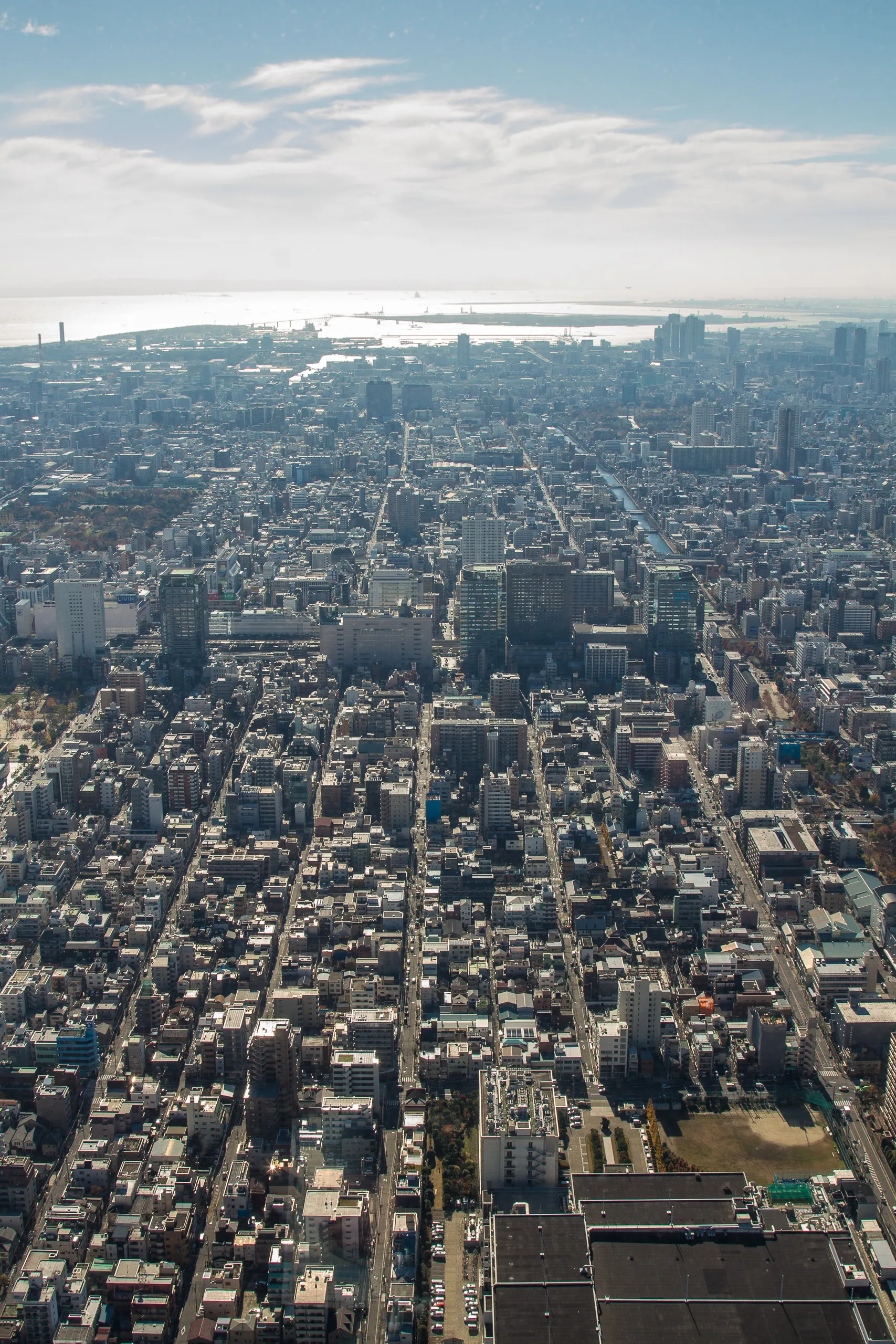 Southeast Tokyo from the Sky Tree