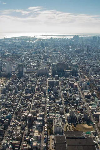 Southeast Tokyo from the Sky Tree