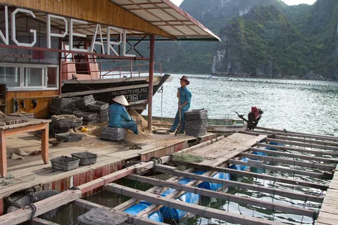 Oyster farmers, Van Gia Floating Village, Ha Long Bay