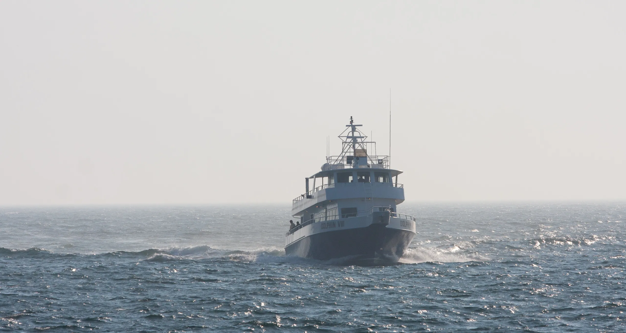 Dolphin VIII Whale Watching Vessel, Provincetown Harbor
