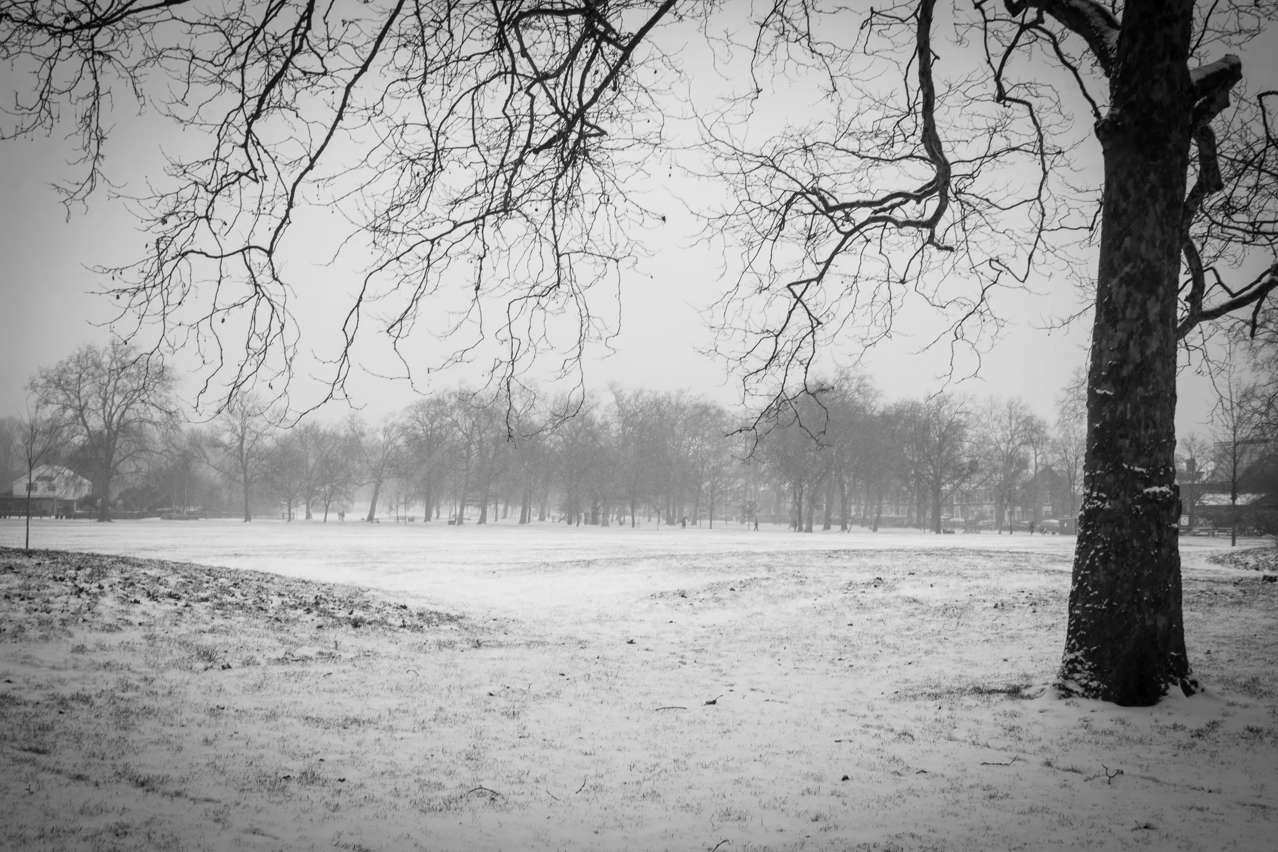 A Queen's Park Winter