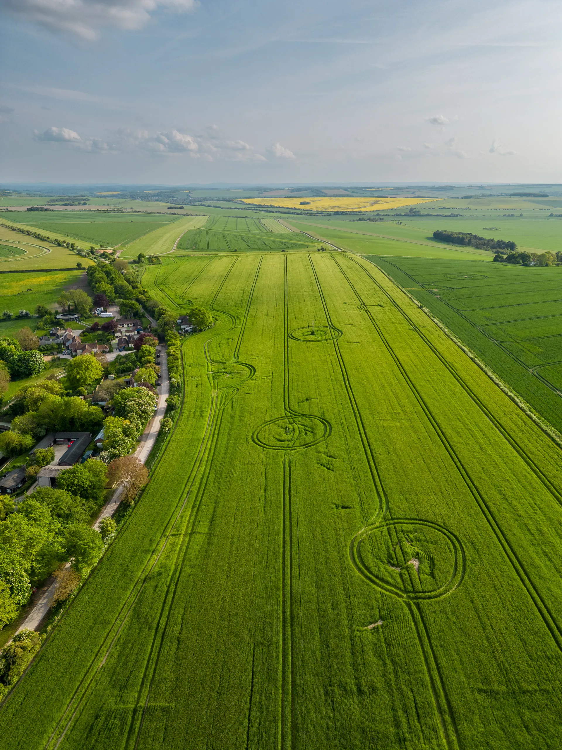 Blewbury Fields, Oxfordshire