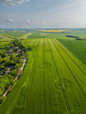 Blewbury Fields, Oxfordshire