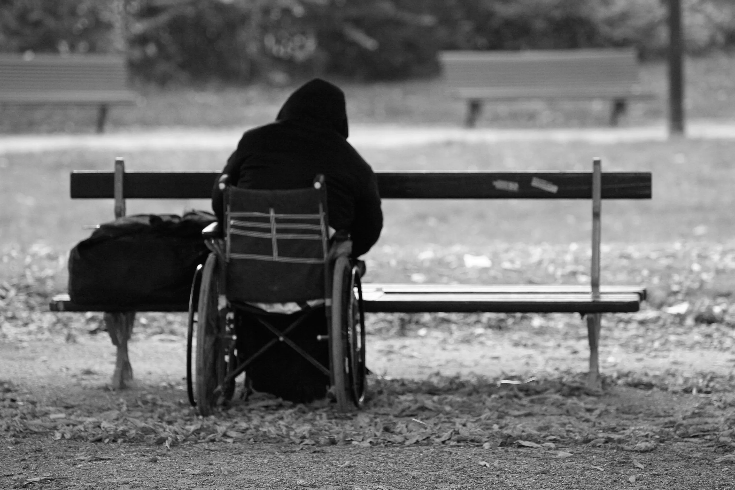 Park Solitude