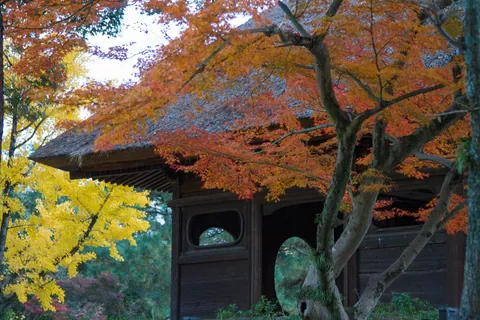 Temple Building, Nara Park