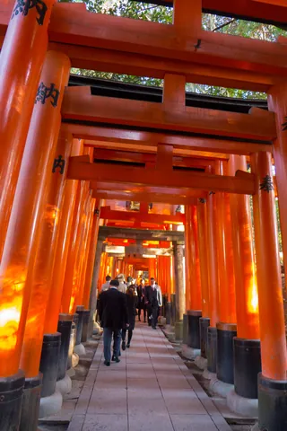 Torii gates, Fushimi Inari Shrine, Kyoto
