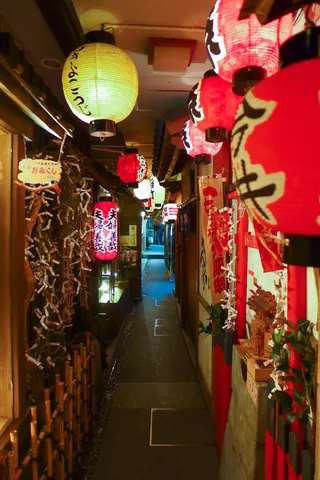 Hozenji Yokocho, Dotonbori, Osaka