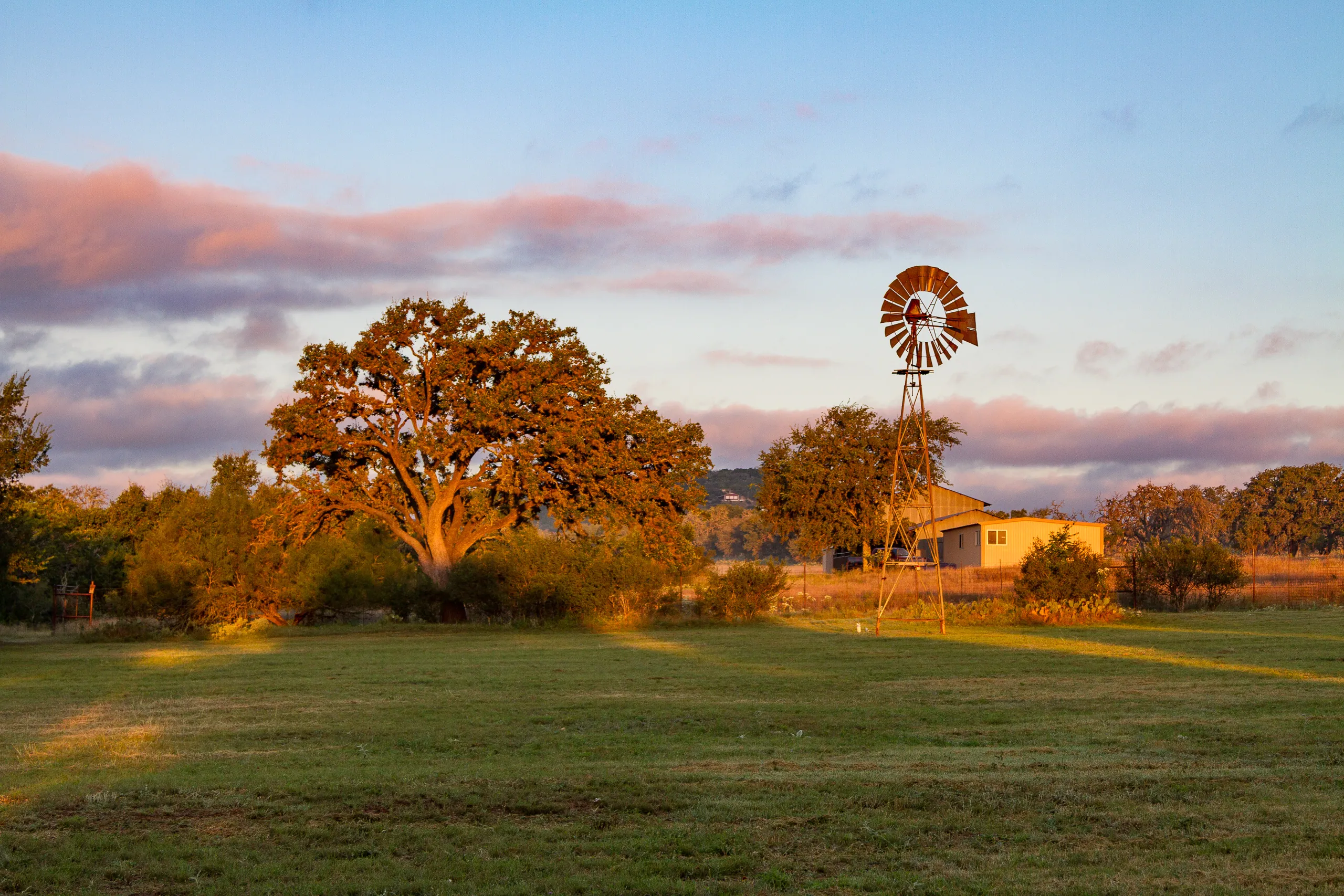 Canyon Wren Ranch - Sunrise Windmill
