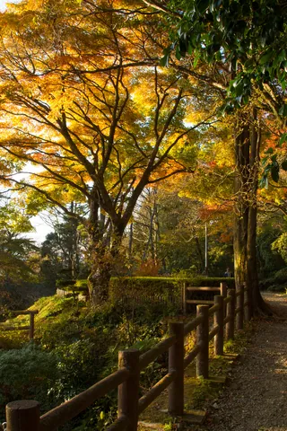 Hakone Detached Palace Garden