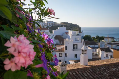 Burgau and Flowers