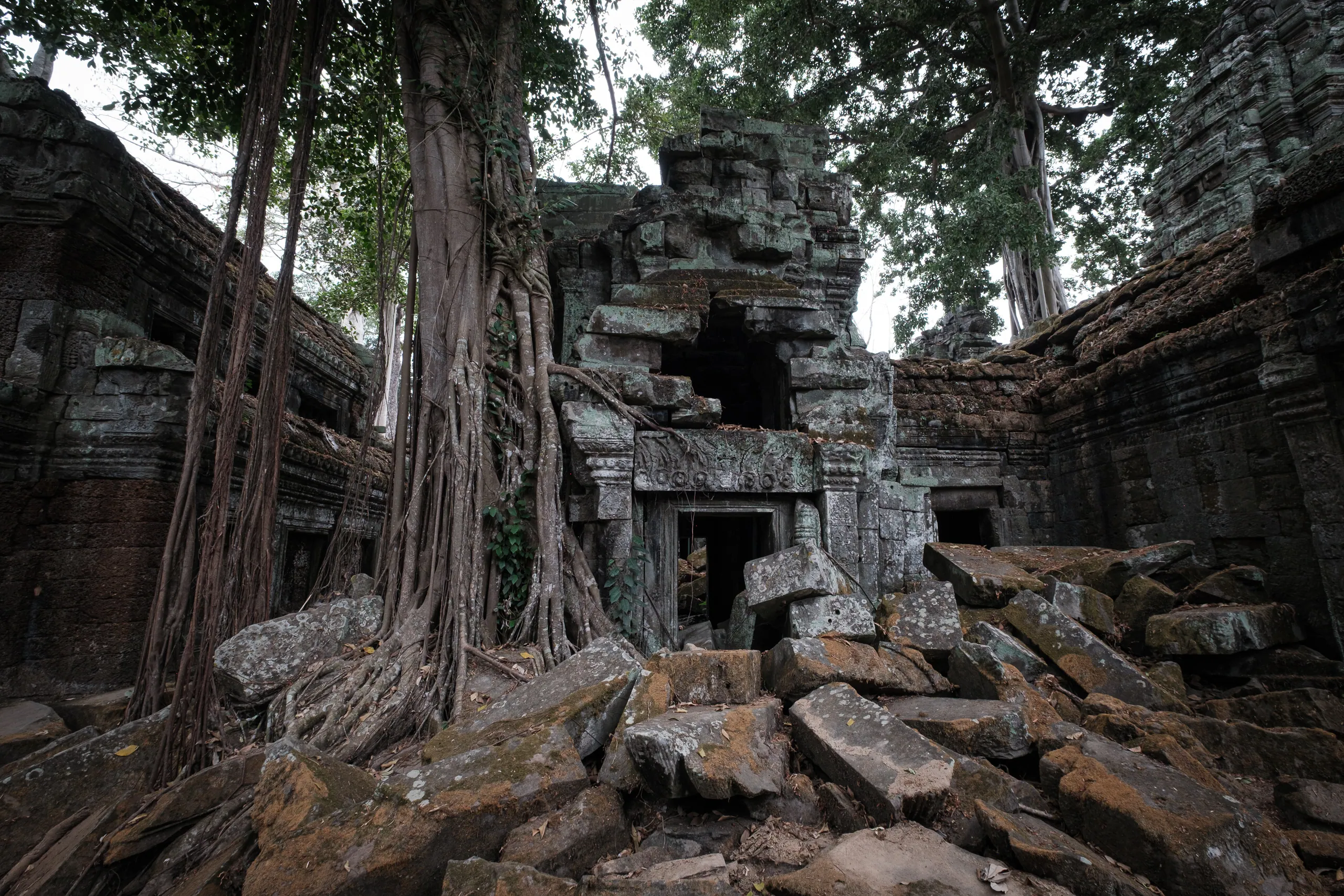 Ta Prohm Temple